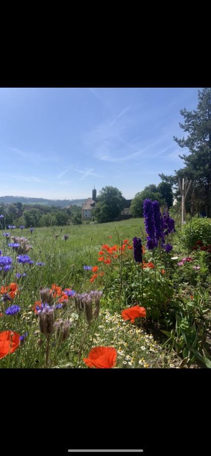 Ferienwohnung Klosterblick Uehlingen-Birkendorf Luaran gambar